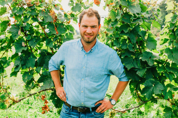 Weingut Klenert