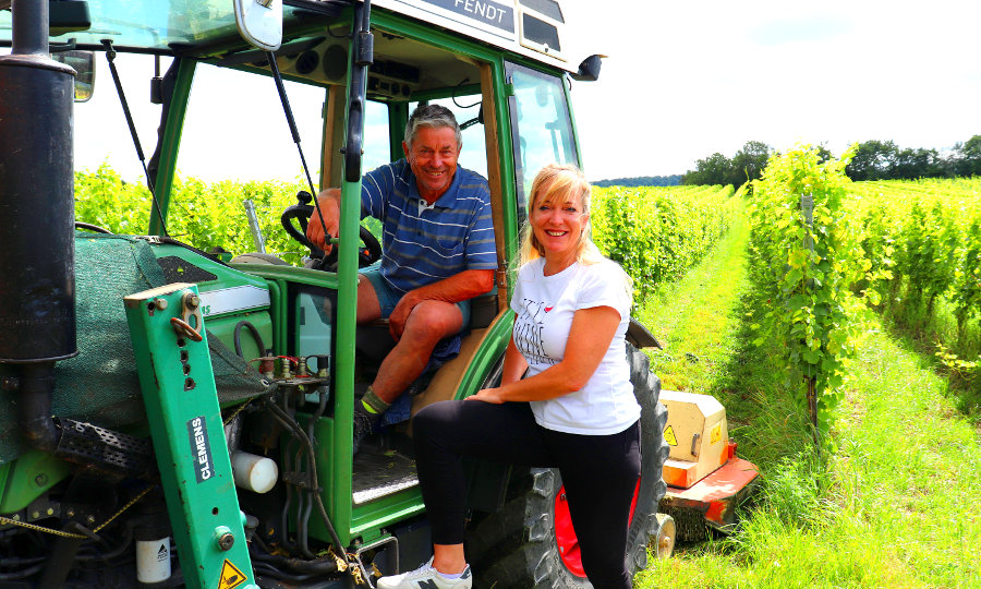 Weingut Roth