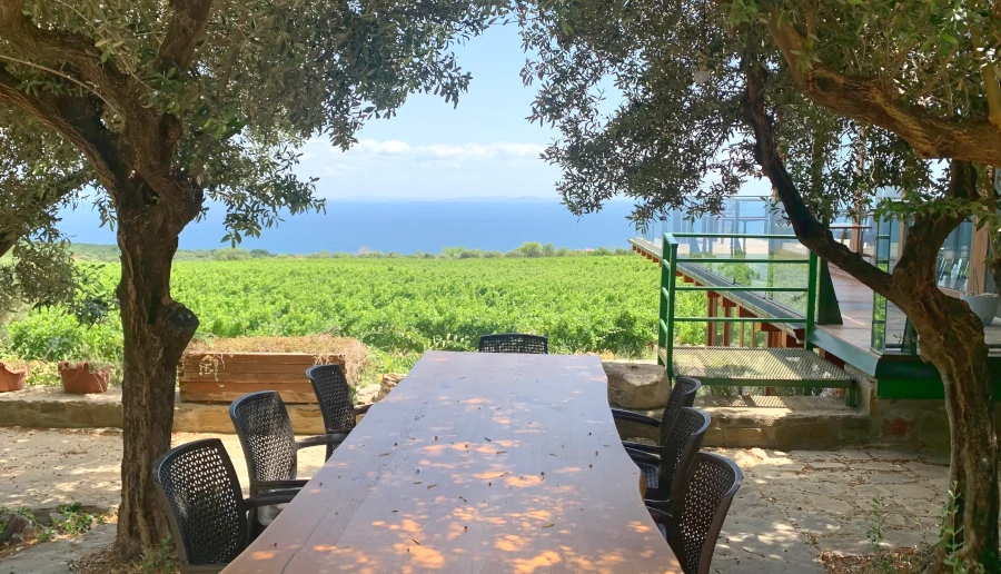 Melen Winery