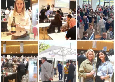 VDP Weinbörse Mainz