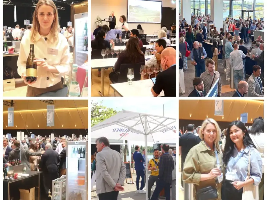 VDP Weinbörse Mainz