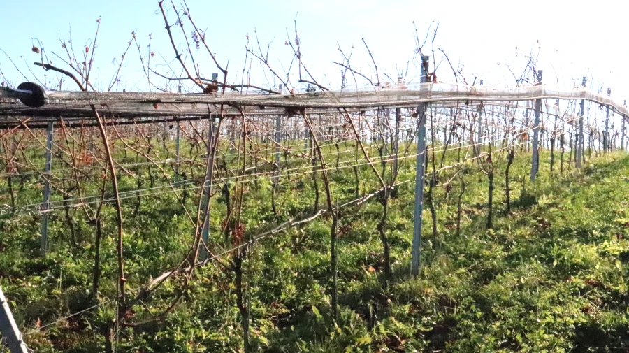 Artikel Schloss Rattey