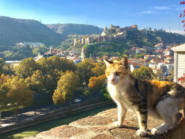 Tiflis – Tbilissi