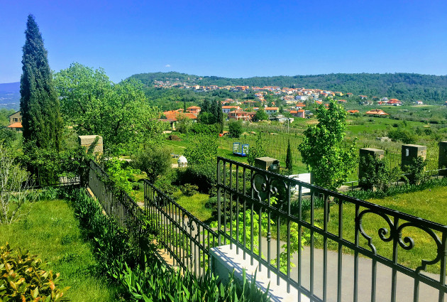 Winecountry Slovenia